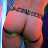 Breedwell Jockstrap Pure Pride Noir-Rainbow
